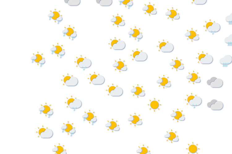 Forecast
