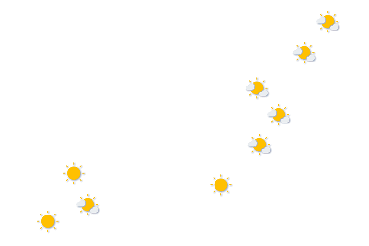 Forecast