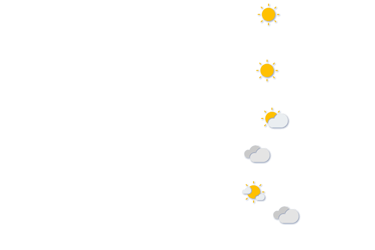 Forecast