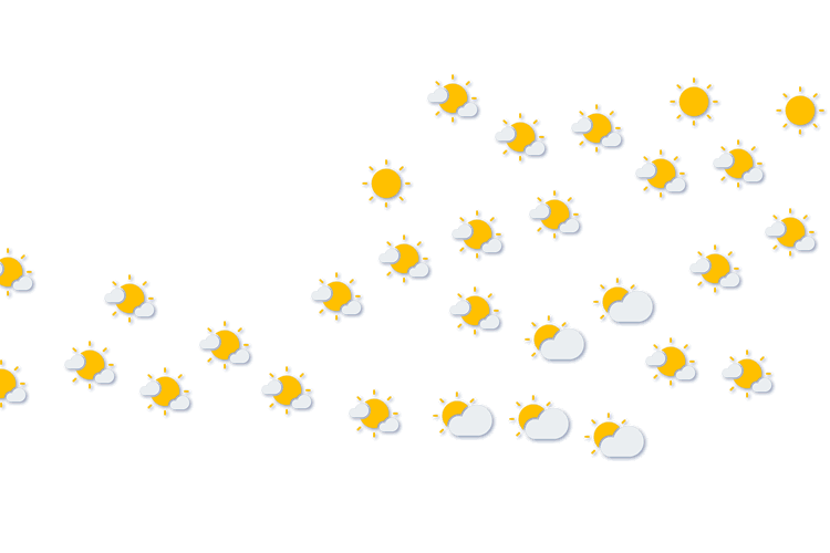 Forecast