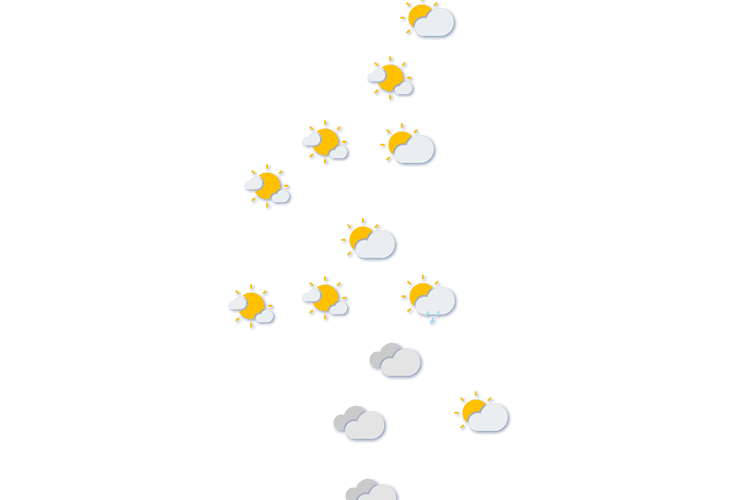 Forecast