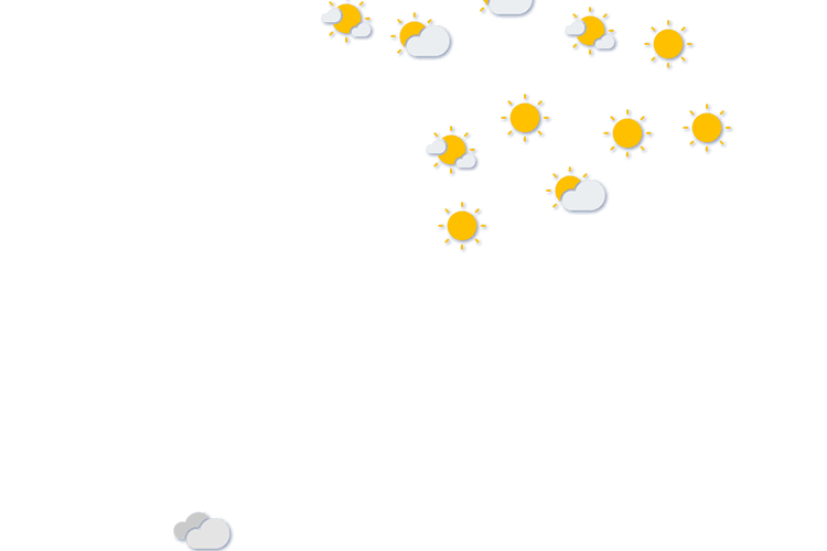 Forecast