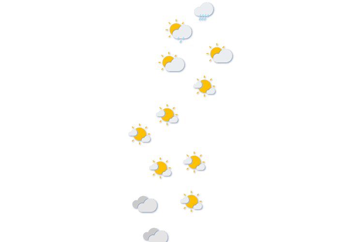 Forecast