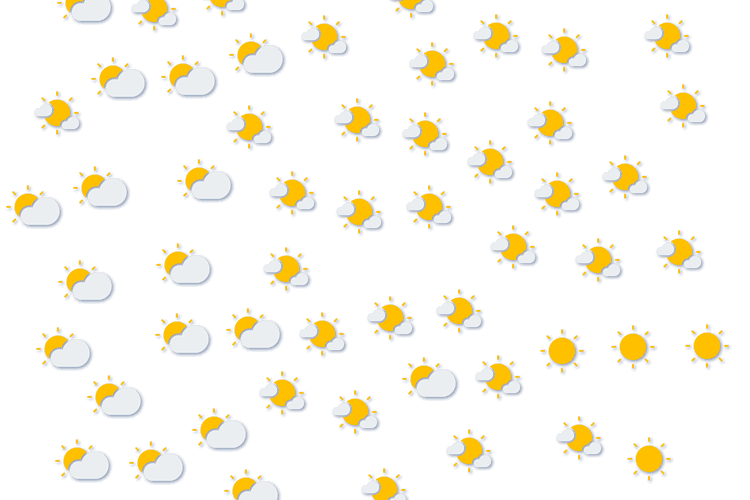 Forecast
