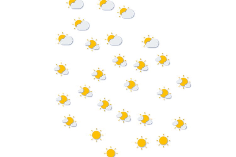 Forecast
