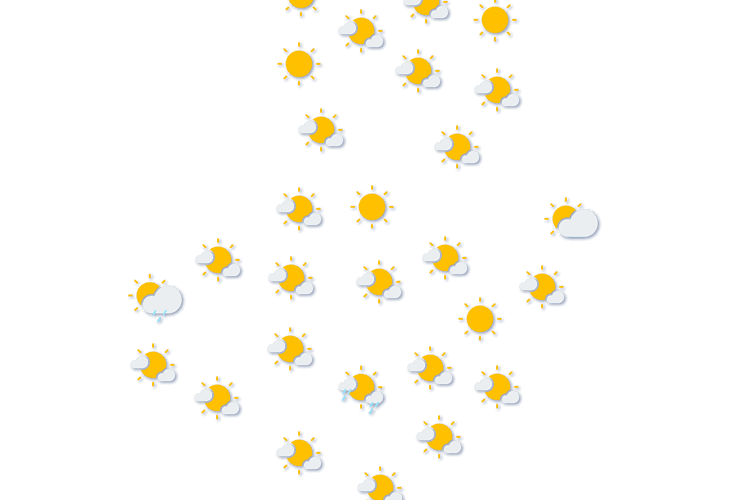 Forecast