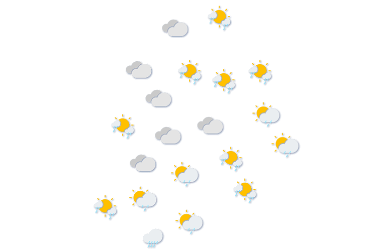 Forecast