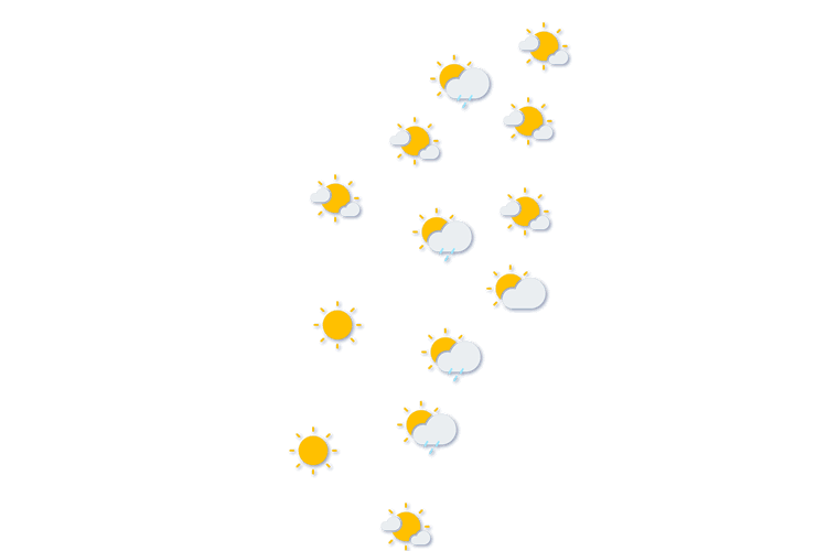 Forecast