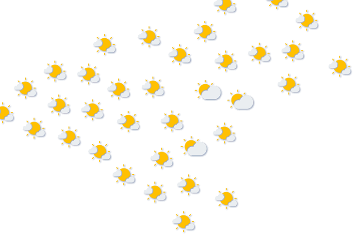 Forecast