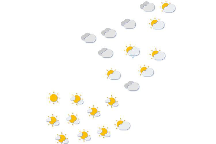 Forecast