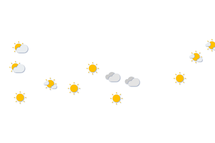 Forecast