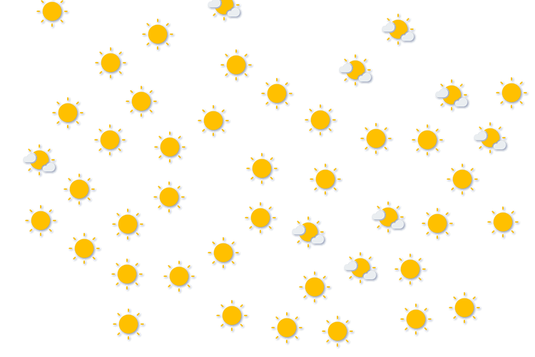 Forecast