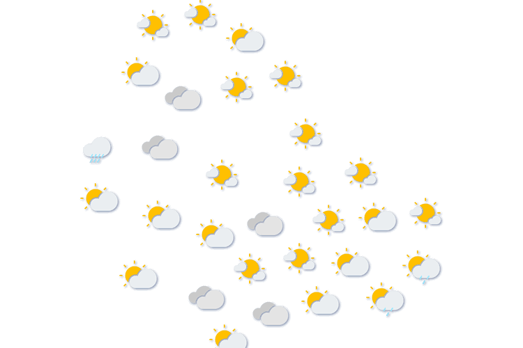 Forecast