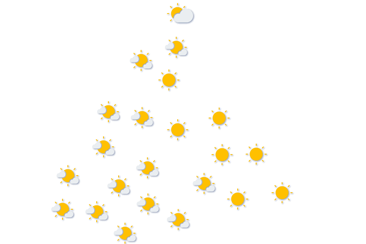 Forecast