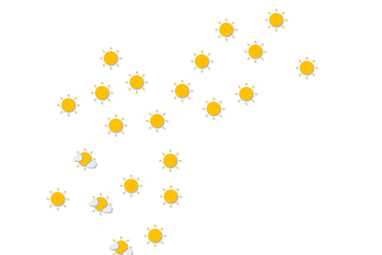 Forecast