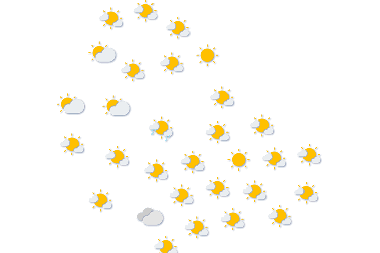 Forecast
