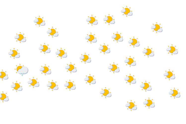 Forecast