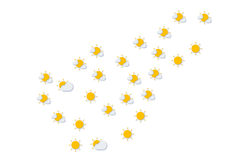 Forecast