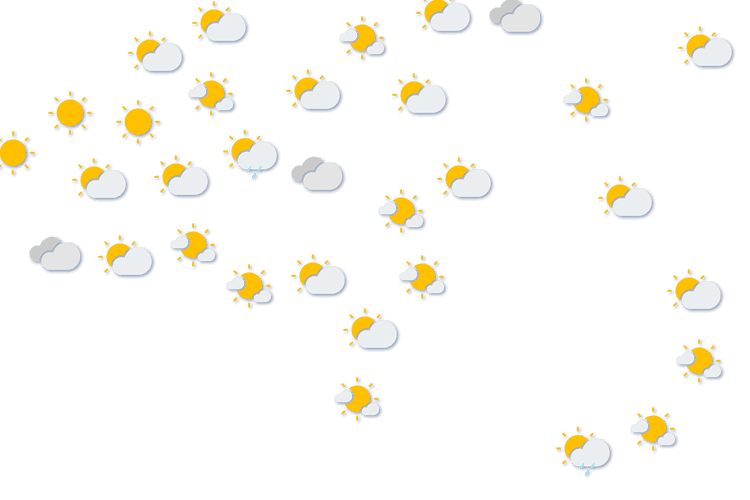 Forecast