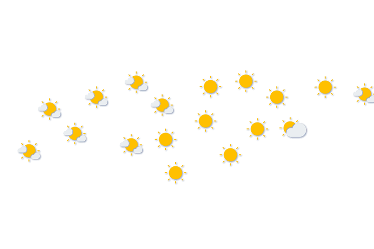 Forecast
