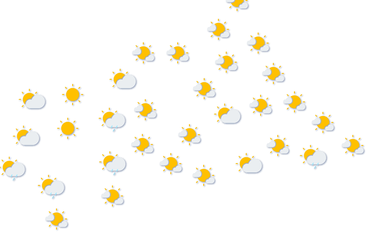 Forecast