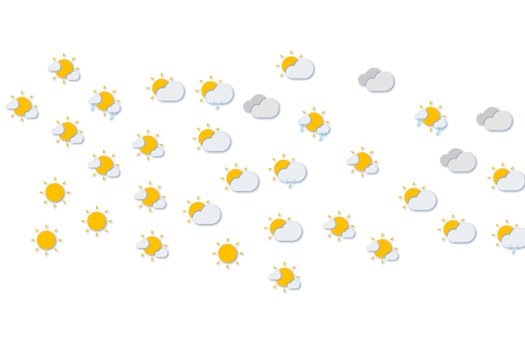 Forecast