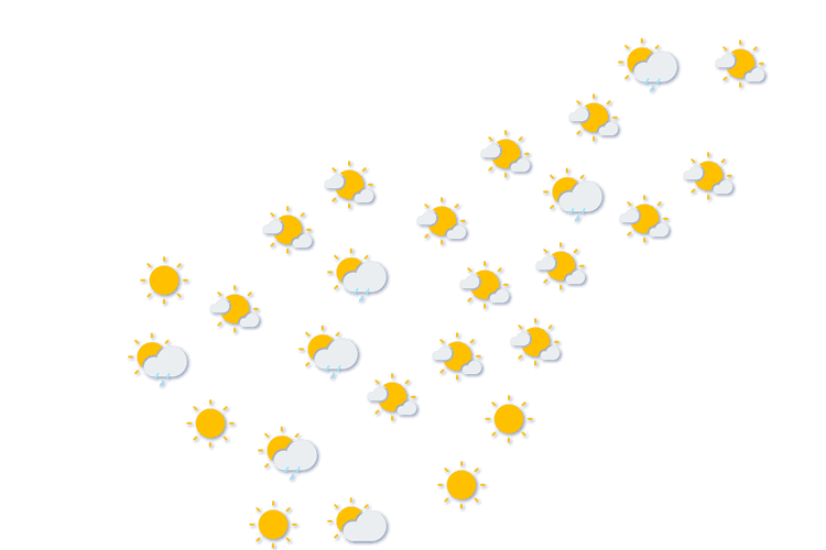 Forecast