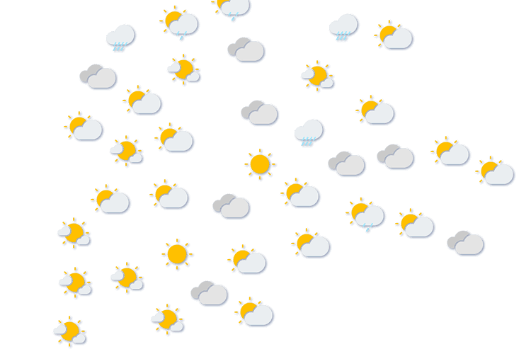 Forecast