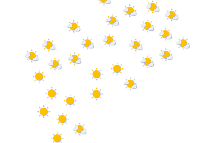 Forecast