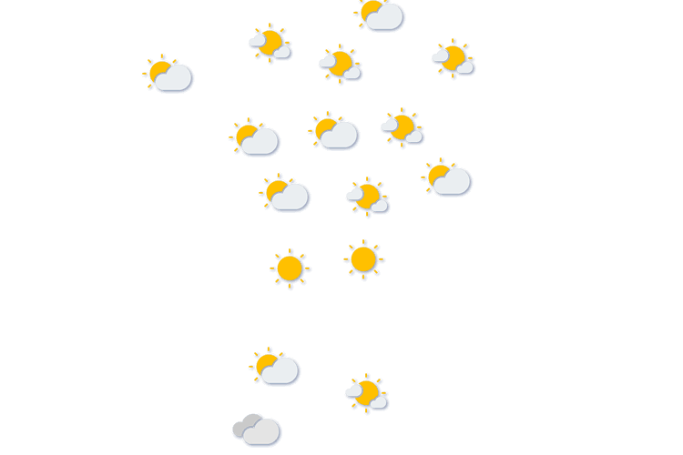 Forecast