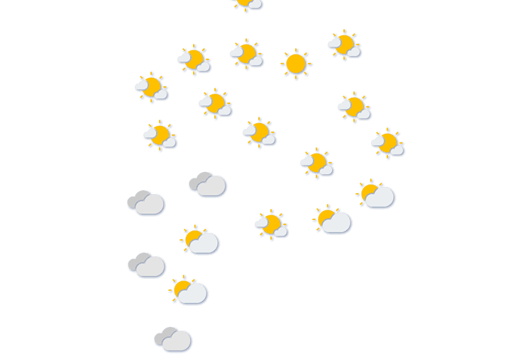Forecast