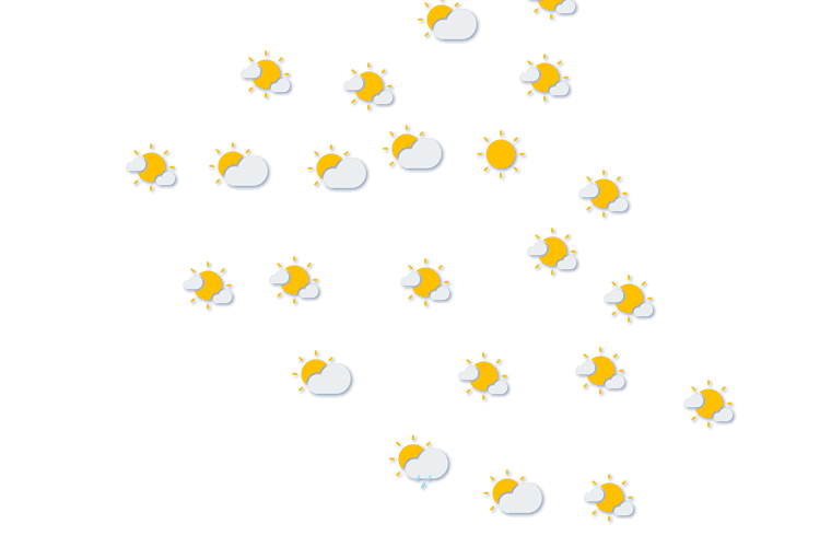 Forecast