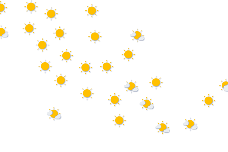 Forecast