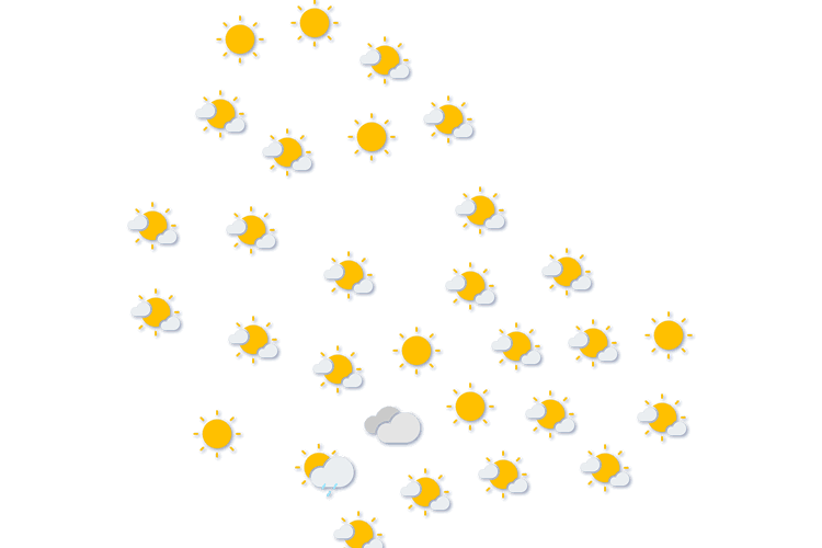 Forecast