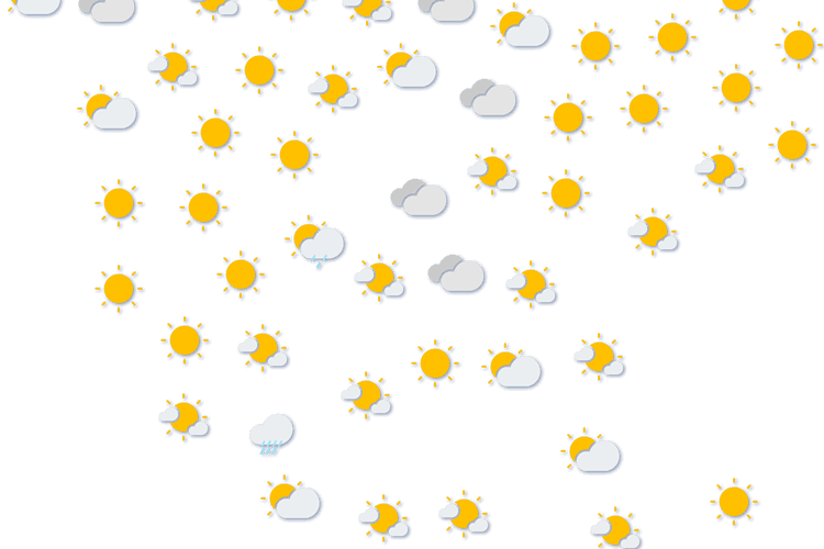 Forecast