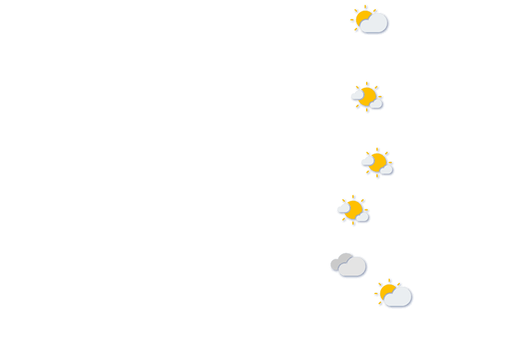 Forecast