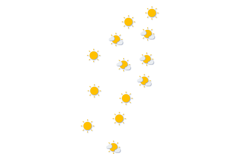 Forecast