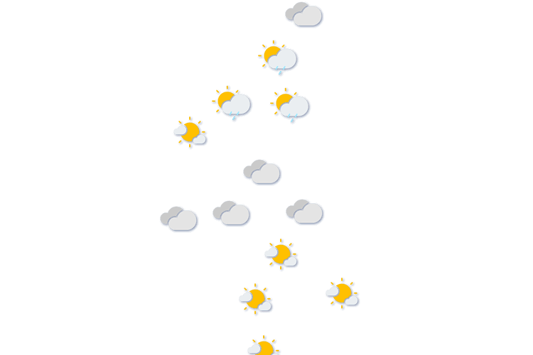 Forecast