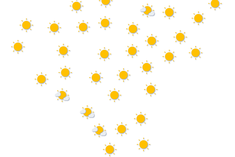 Forecast