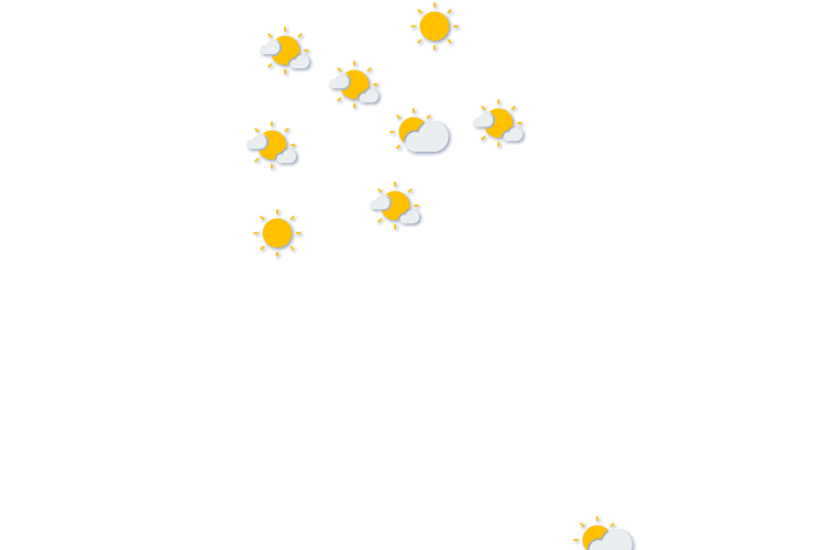 Forecast