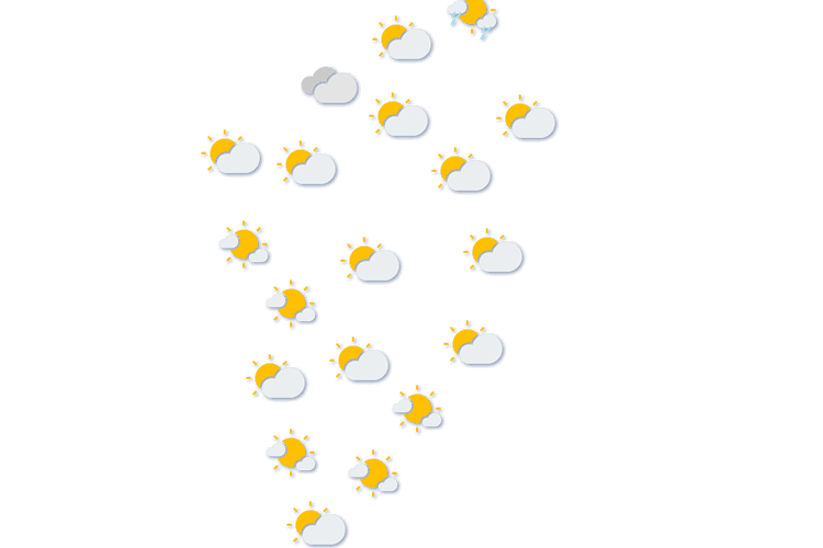 Forecast