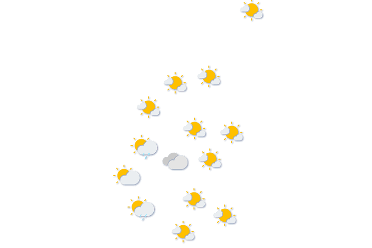 Forecast