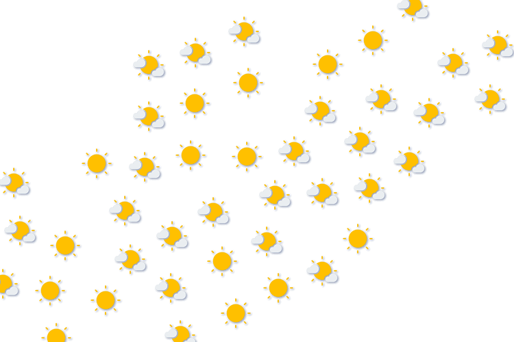 Forecast