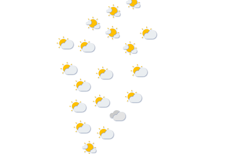 Forecast