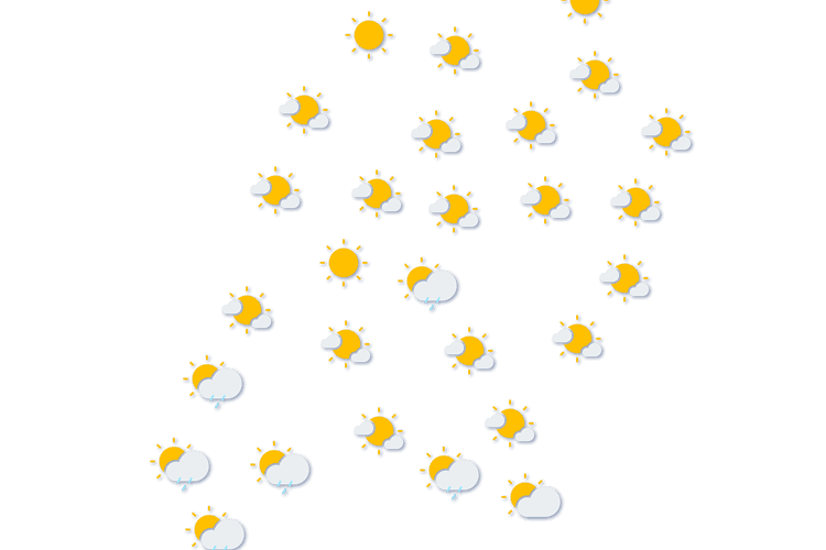 Forecast