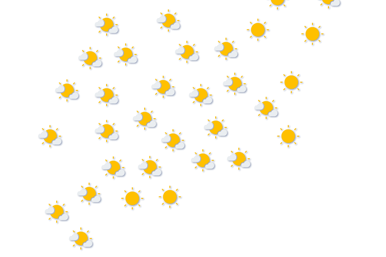 Forecast