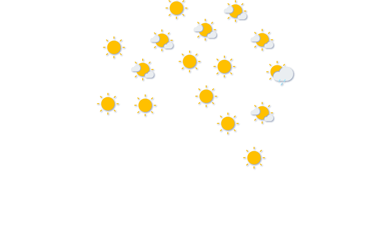 Forecast