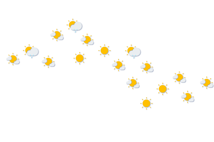Forecast