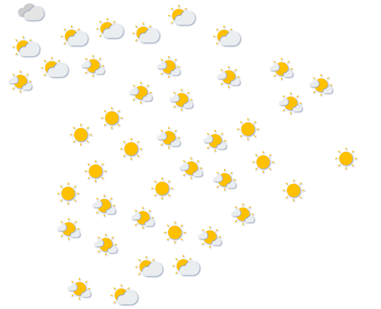 Forecast