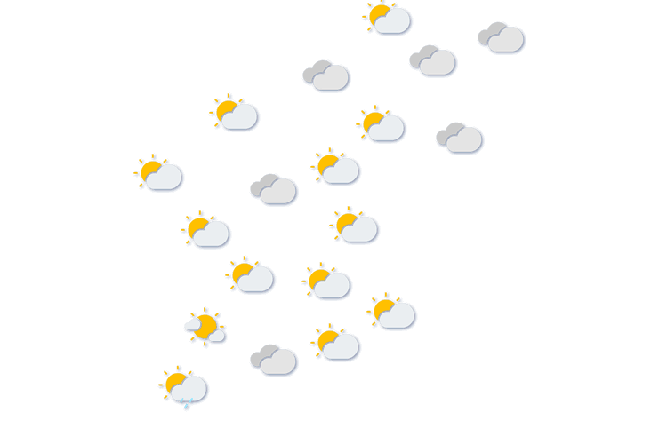 Forecast